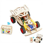 ZenMotion — DIY Wooden RC Racer
